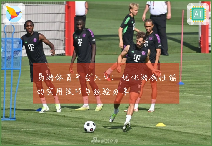 易游体育平台入口：优化游戏性能的实用技巧与经验分享